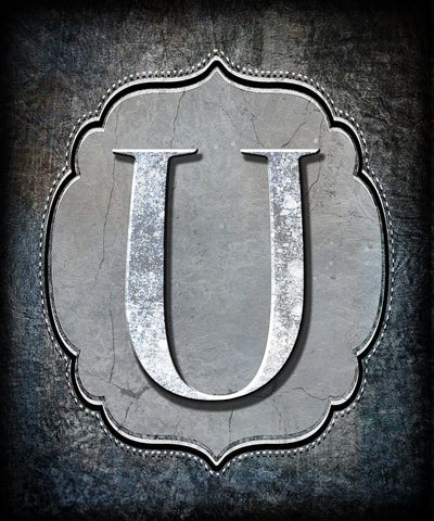 Letter U Black Ornate Wood Framed Art Print with Double Matting by LightBoxJournal