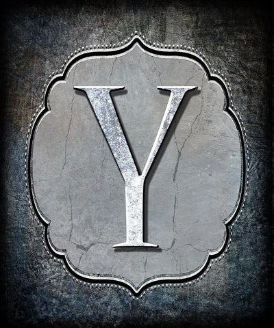 Letter Y Black Ornate Wood Framed Art Print with Double Matting by LightBoxJournal