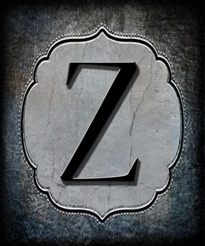 Letter Z Black Ornate Wood Framed Art Print with Double Matting by LightBoxJournal