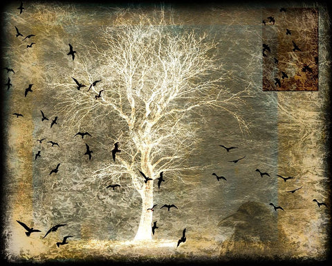 A Ravens World Spirit Tree Black Ornate Wood Framed Art Print with Double Matting by LightBoxJournal