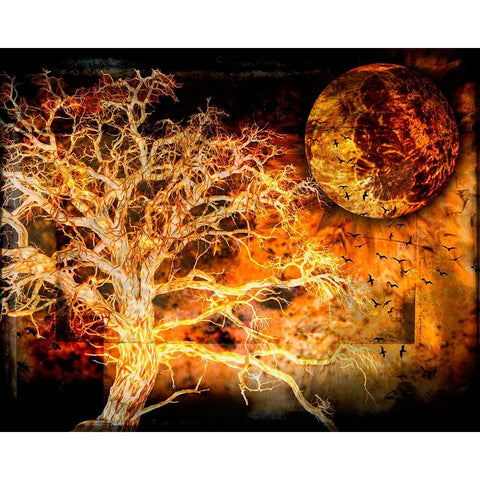 A Ravens World White Modern Wood Framed Art Print by LightBoxJournal