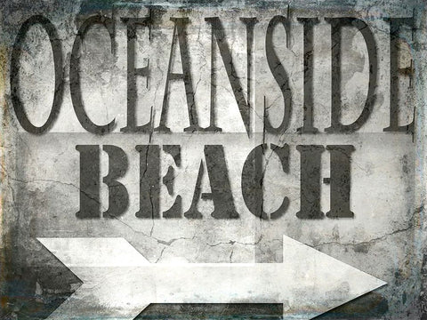 Surfside Oceanside Black Ornate Wood Framed Art Print with Double Matting by LightBoxJournal