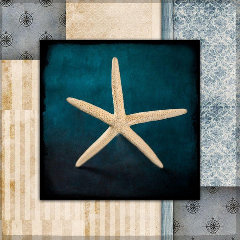 Blue Sea Starfish White Modern Wood Framed Art Print by LightBoxJournal