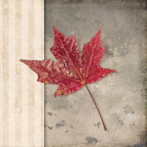 Lodge Leaf 1 Black Modern Wood Framed Art Print with Double Matting by LightBoxJournal