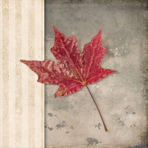Lodge Leaf 1 White Modern Wood Framed Art Print with Double Matting by LightBoxJournal