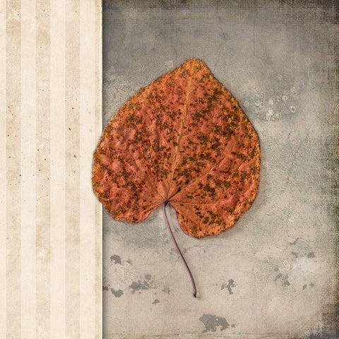 Lodge Leaf 2 White Modern Wood Framed Art Print by LightBoxJournal