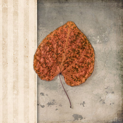 Lodge Leaf 2 Black Ornate Wood Framed Art Print with Double Matting by LightBoxJournal