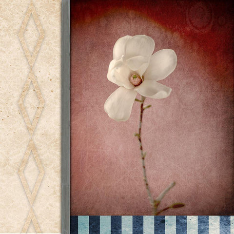 Magnolia Diamond 1 Gold Ornate Wood Framed Art Print with Double Matting by LightBoxJournal