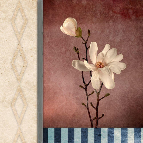 Magnolia Diamond 2 White Modern Wood Framed Art Print by LightBoxJournal