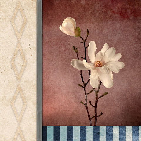 Magnolia Diamond 2 Black Ornate Wood Framed Art Print with Double Matting by LightBoxJournal
