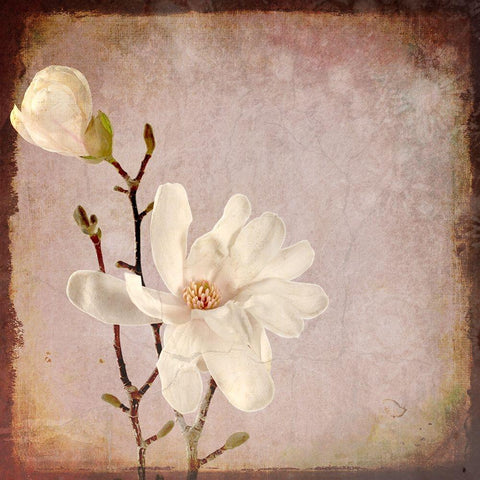 Paper Magnolia Duo Gold Ornate Wood Framed Art Print with Double Matting by LightBoxJournal