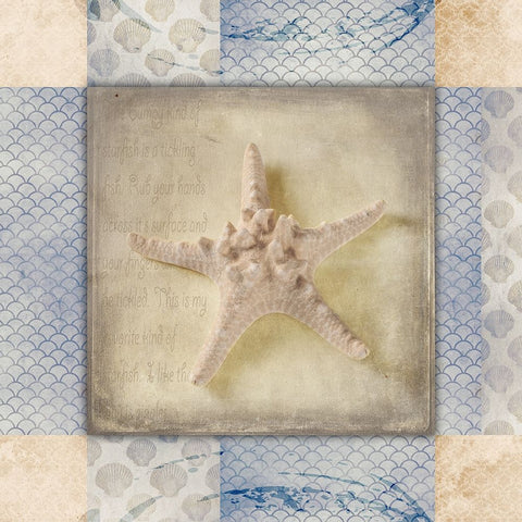 White Sea Bumpy Star White Modern Wood Framed Art Print with Double Matting by LightBoxJournal