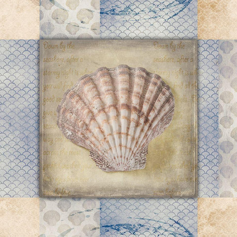 White Sea Shell White Modern Wood Framed Art Print by LightBoxJournal