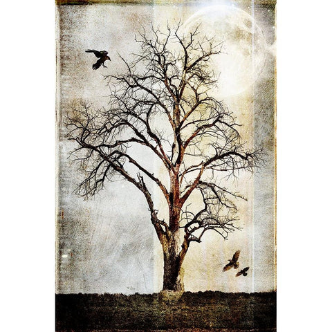 Cottonwood Tree Part 02 Black Modern Wood Framed Art Print with Double Matting by LightBoxJournal
