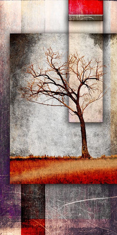 Cottonwood Tree Part 04 Black Ornate Wood Framed Art Print with Double Matting by LightBoxJournal