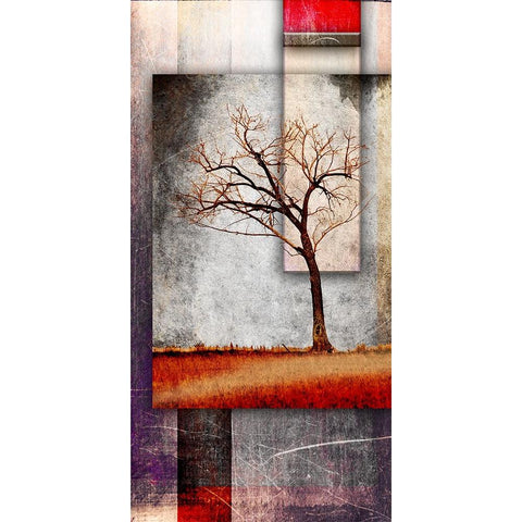 Cottonwood Tree Part 04 Black Modern Wood Framed Art Print by LightBoxJournal
