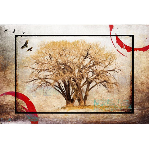 Cottonwood Tree Part 06 Black Modern Wood Framed Art Print with Double Matting by LightBoxJournal