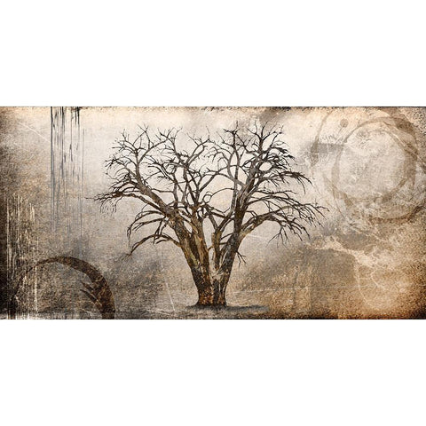 Cottonwood Tree Part 07 White Modern Wood Framed Art Print by LightBoxJournal