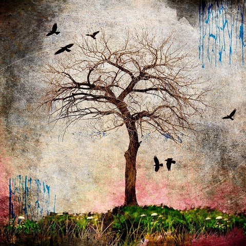 Cottonwood Tree Part 08 Black Modern Wood Framed Art Print with Double Matting by LightBoxJournal