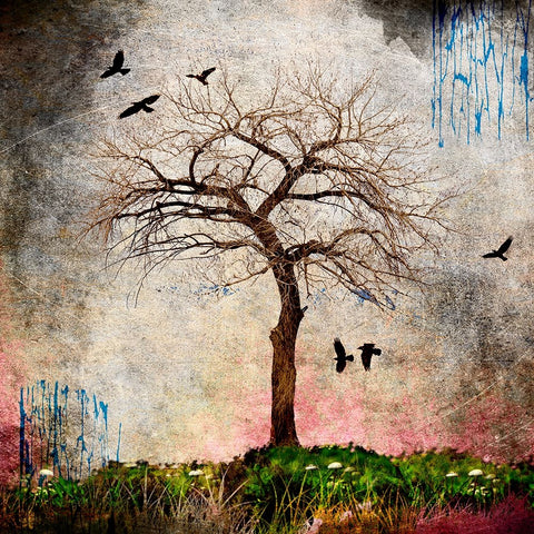 Cottonwood Tree Part 08 White Modern Wood Framed Art Print with Double Matting by LightBoxJournal