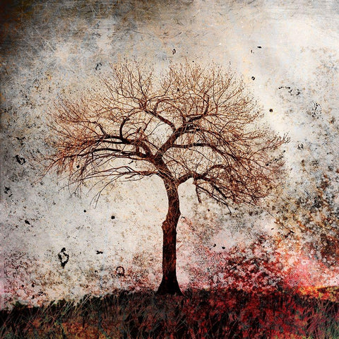 Cottonwood Tree Part 09 Gold Ornate Wood Framed Art Print with Double Matting by LightBoxJournal