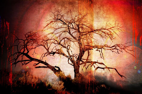 Cottonwood Tree Part 10 White Modern Wood Framed Art Print with Double Matting by LightBoxJournal