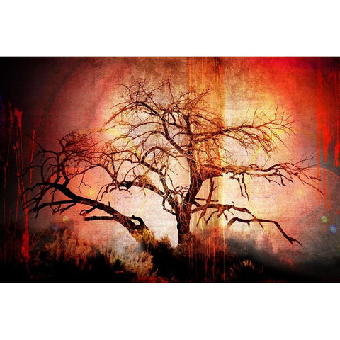 Cottonwood Tree Part 10 Black Modern Wood Framed Art Print by LightBoxJournal