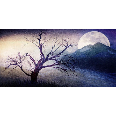 Cottonwood Tree Part 11 Black Modern Wood Framed Art Print by LightBoxJournal