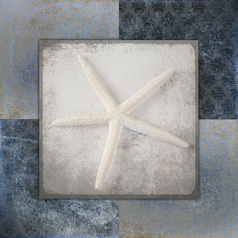 Blue Star Fish 2 White Modern Wood Framed Art Print with Double Matting by LightBoxJournal