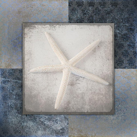 Blue Star Fish 2 Black Modern Wood Framed Art Print with Double Matting by LightBoxJournal