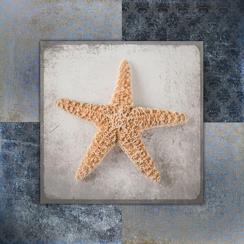 Blue Star Fish Black Modern Wood Framed Art Print by LightBoxJournal