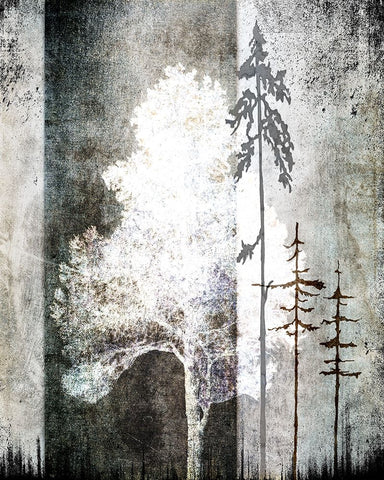 July Tree 2 White Modern Wood Framed Art Print with Double Matting by LightBoxJournal