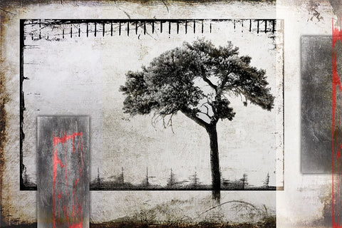 July Tree 3 White Modern Wood Framed Art Print with Double Matting by LightBoxJournal