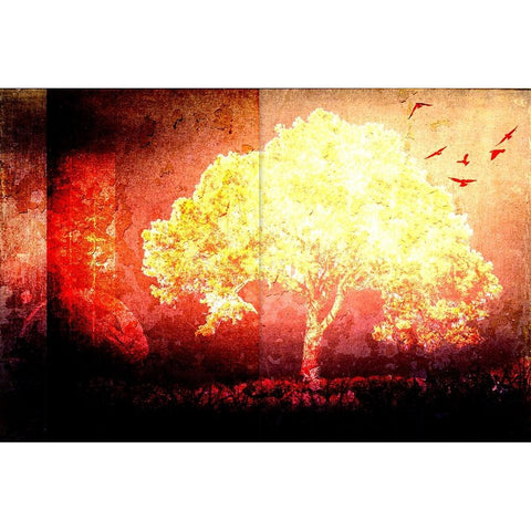 July Tree 4 Black Modern Wood Framed Art Print with Double Matting by LightBoxJournal