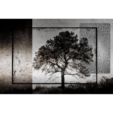 July Tree White Modern Wood Framed Art Print by LightBoxJournal