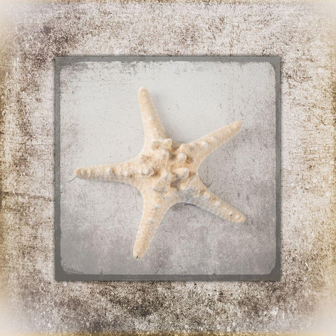 Stone Star 2 White Modern Wood Framed Art Print by LightBoxJournal