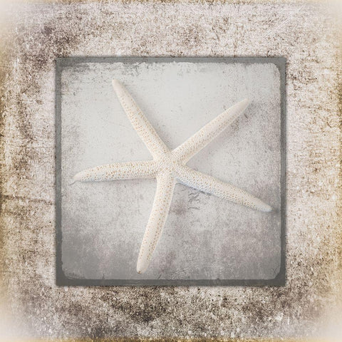 Stone Star 3 White Modern Wood Framed Art Print by LightBoxJournal