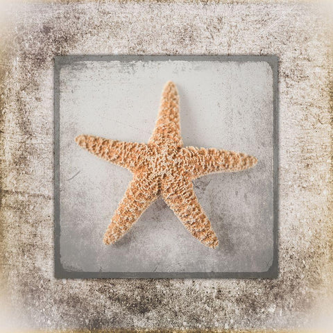 Stone Star White Modern Wood Framed Art Print by LightBoxJournal