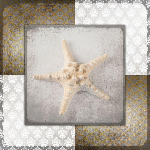 Vintage Natuical Star 2 Gold Ornate Wood Framed Art Print with Double Matting by LightBoxJournal