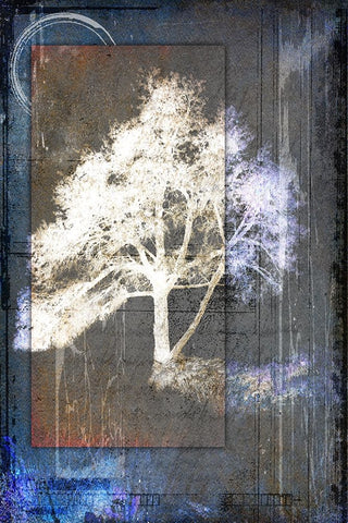 July Tree 5 Black Ornate Wood Framed Art Print with Double Matting by LightBoxJournal