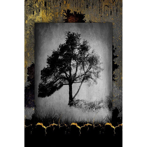 July Tree 6 Black Modern Wood Framed Art Print with Double Matting by LightBoxJournal