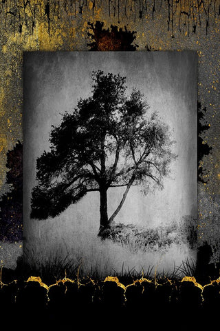 July Tree 6 Black Ornate Wood Framed Art Print with Double Matting by LightBoxJournal