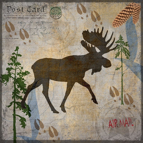 Bear Lodge Moose Black Ornate Wood Framed Art Print with Double Matting by LightBoxJournal