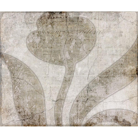 Decortive Pattern 5.1 Black Modern Wood Framed Art Print with Double Matting by LightBoxJournal