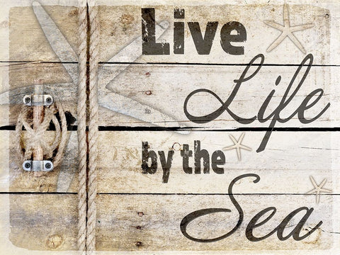 Country Sea Sign 3 Black Ornate Wood Framed Art Print with Double Matting by LightBoxJournal