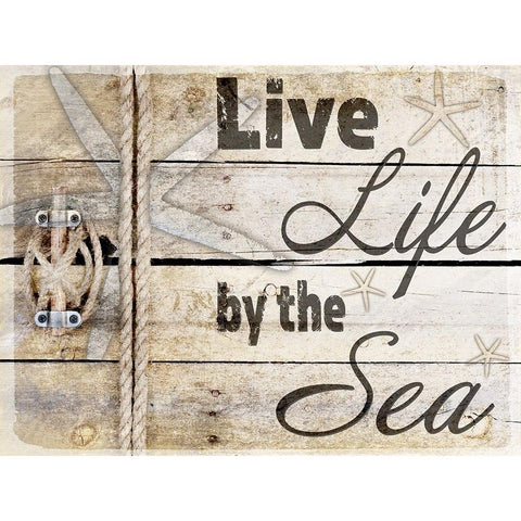 Country Sea Sign 3 Black Modern Wood Framed Art Print by LightBoxJournal