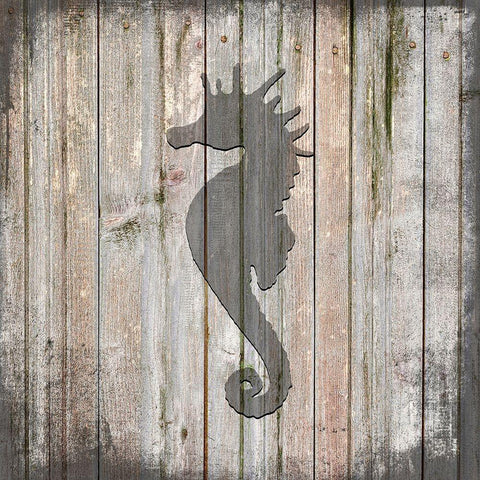 Country Sea V1 1 Black Modern Wood Framed Art Print with Double Matting by LightBoxJournal
