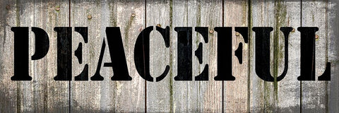 Country Sign 2 Black Ornate Wood Framed Art Print with Double Matting by LightBoxJournal