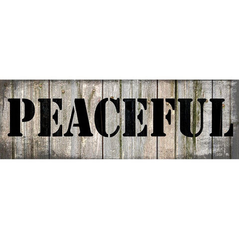 Country Sign 2 Black Modern Wood Framed Art Print with Double Matting by LightBoxJournal