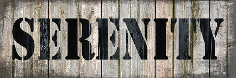 Country Sign 4 Black Ornate Wood Framed Art Print with Double Matting by LightBoxJournal